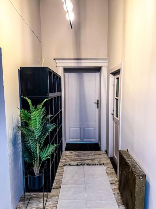 Cozy & Charming Apt. Downtown Apartment Timisoara Exterior photo