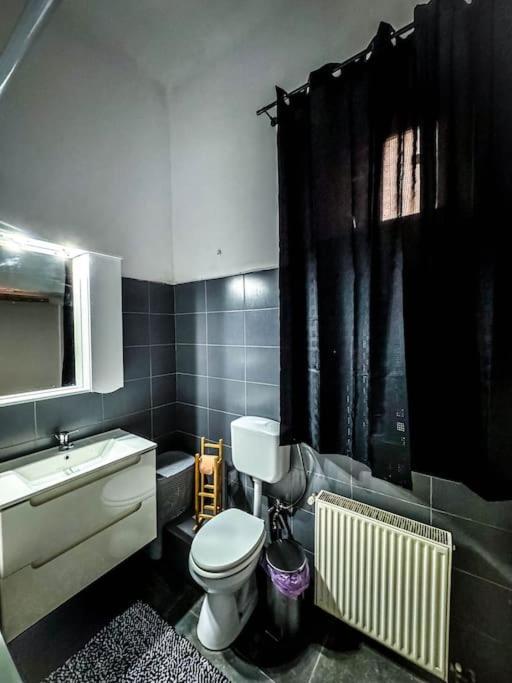 Cozy & Charming Apt. Downtown Apartment Timisoara Exterior photo